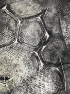 SER-MIM1｜Failed Mimicry Lowerform